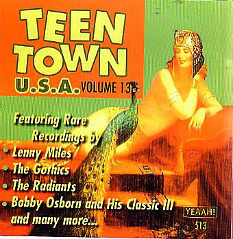 V.A. - Teen Town U.S.A. : Vol 13